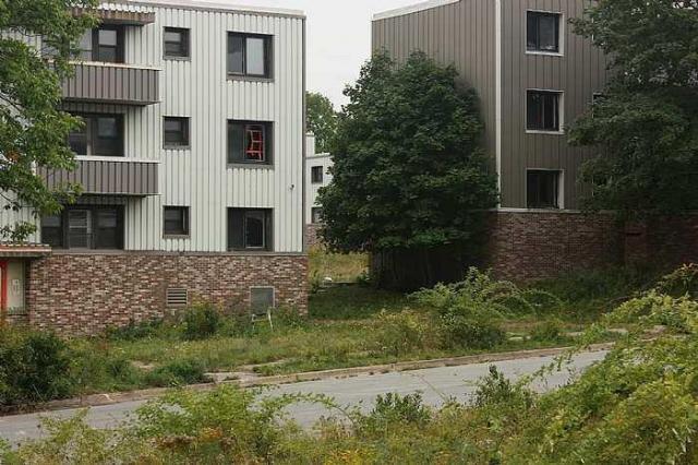 Shannon Park photo 4