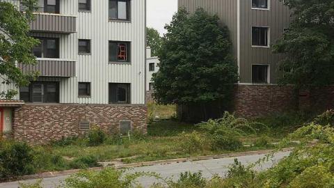 September 2016 - 17Sep-16C 097.jpg