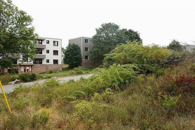 Shannon Park photo 2