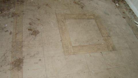 Gallery - DSC02488.jpg