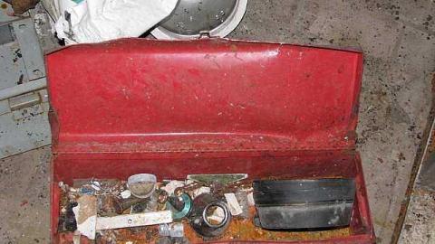 Harvey's Moss - Whitby, Ontario