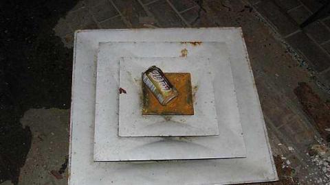 Harvey's Moss photo 2