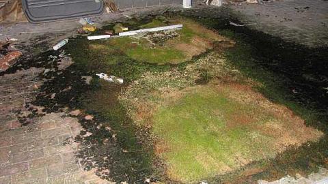 Moss Burger - 19.jpg