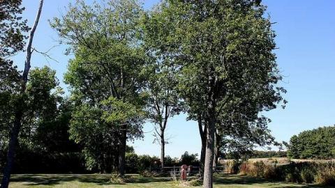 September 2016 - Walker-Cemetery1.jpg