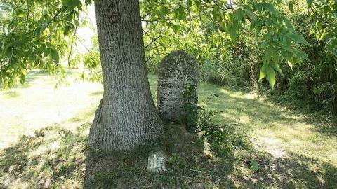 Walker Cemetery photo 3