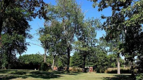 Walker Cemetery photo 5