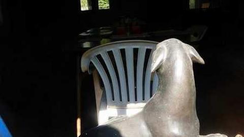 Cemetery View photo 2