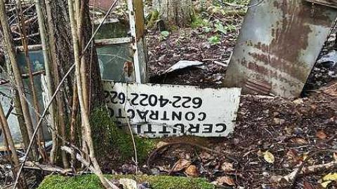 Frantic Angel - Frantic-Angel-House15.jpg