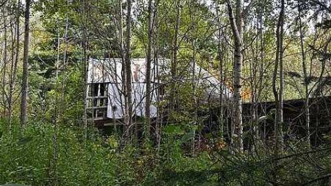 Frantic Angel - Frantic-Angel-House16.jpg