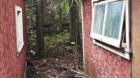 Frantic Angel - Frantic-Angel-House18.jpg