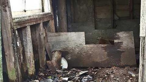 Frantic Angel - Frantic-Angel-House5.jpg