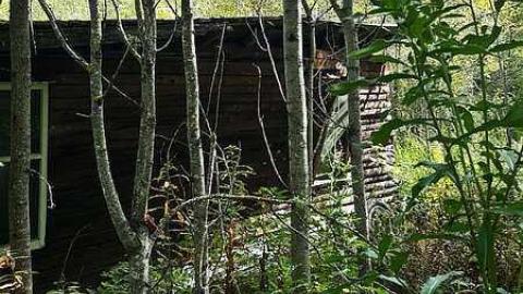 Frantic Angel - Frantic-Angel-House6.jpg