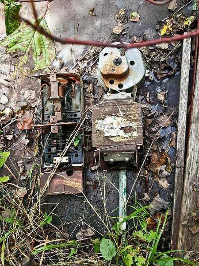 Frantic Angel House photo 5