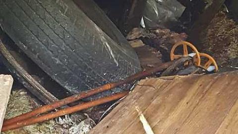 Frantic Angel - Frantic-Angel-House9.jpg