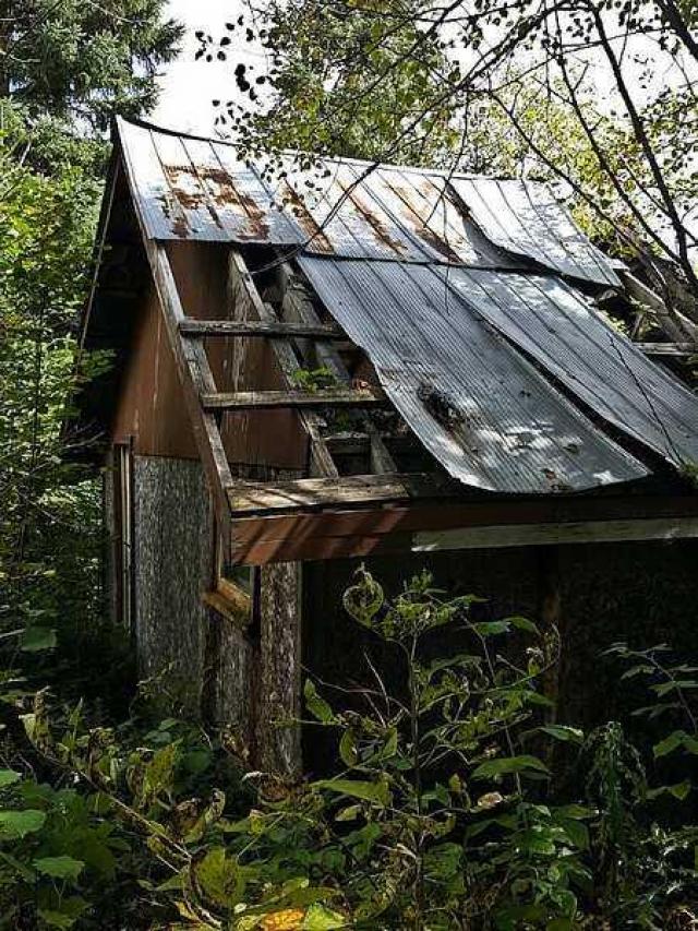 Frantic Angel House photo 3