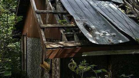 Frantic Angel House photo 3