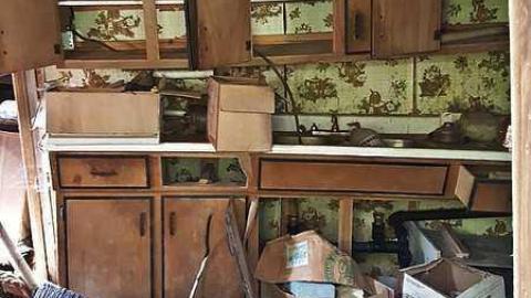 Frantic Angel House photo 2