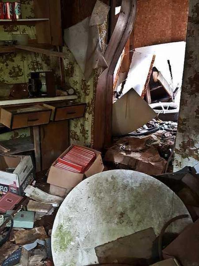 Frantic Angel House photo 4