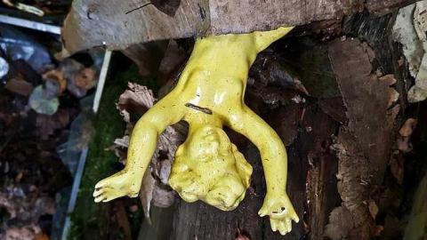 Frantic Angel - Frantic-Angel-House25.jpg