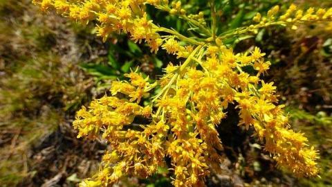 Maynooth Station - Maynooth-Train-Station37.jpg