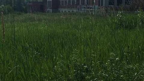 July 2016 - Burwash-Correctional-Prison474.jpg