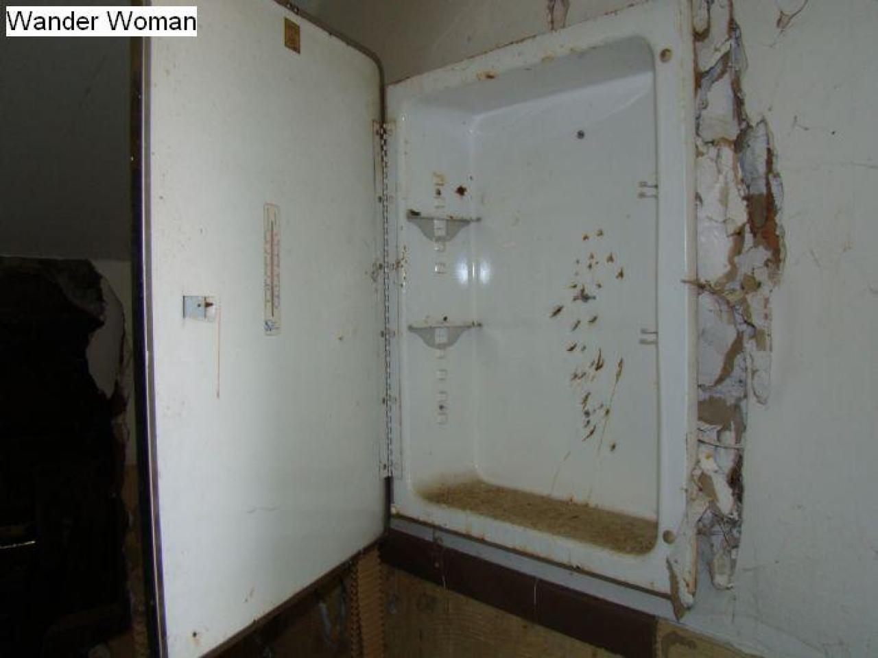 Gallery - DSC02492.jpg