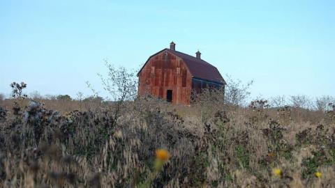 Deer Park - House-off-40152.jpg