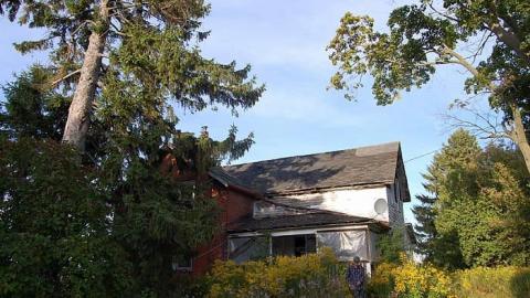 Photo from Deer Park