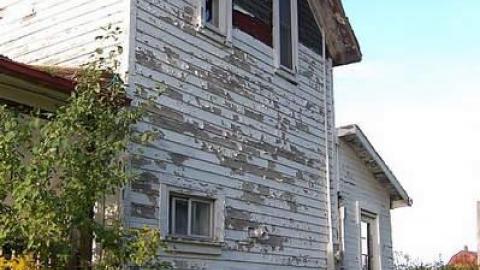 Photo from Deer Park