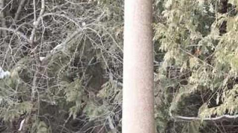 Bethel Cemetery photo 5