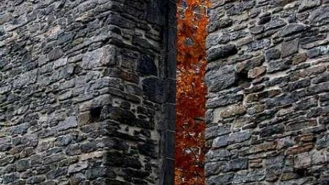 Fall 2010 - St.-Raphaels84.jpg