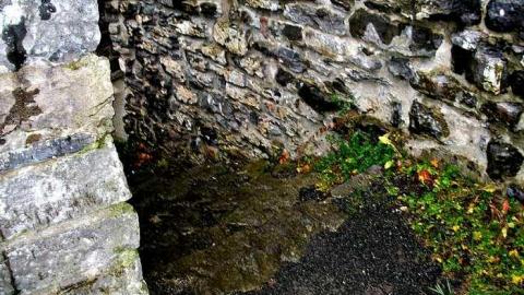 Fall 2010 - St.-Raphaels85.jpg