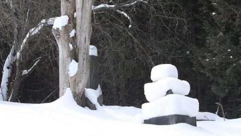 Bethel Cemetery - Bethel-Cemetery24.jpg