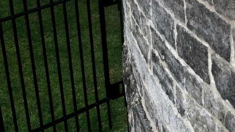 Fall 2010 - St.-Raphaels92.jpg