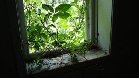 Bonfield House photo 5