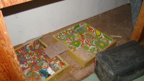 Gallery - DSC02498.jpg