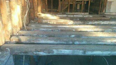 September 2016 - Savannah-Rowe45.jpg