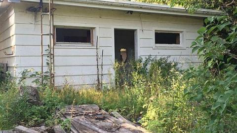 Ranch House - dzimage.jpeg