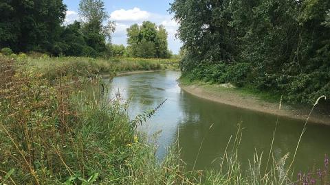 Menacing Wetlands - McKinnon-(ghost-town)8.jpeg