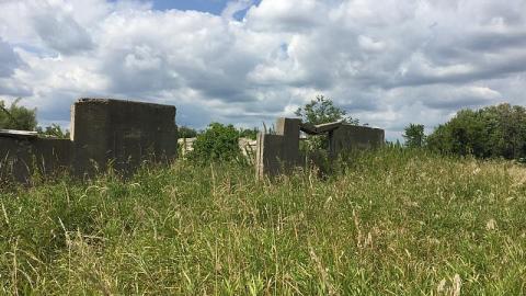 Menacing Wetlands cover photo