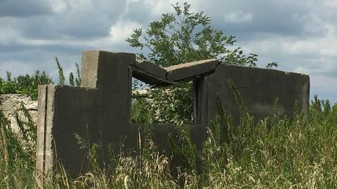 Menacing Wetlands - McKinnon-(ghost-town)9.jpeg