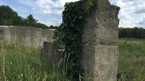 Menacing Wetlands - McKinnon-(ghost-town)15.jpeg
