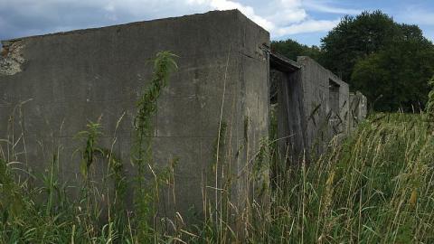 Menacing Wetlands - McKinnon-(ghost-town)11.jpeg