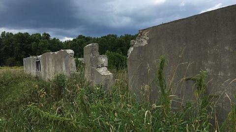 Menacing Wetlands - McKinnon-(ghost-town)16.jpeg