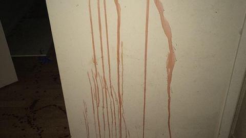 Photo from Bloody House