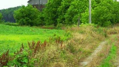 July 2011 - Stove-Man18.jpg