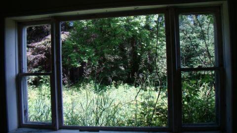 Gallery - DSC02510.jpg