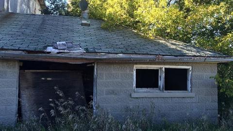 Big Farm - baimage.jpeg