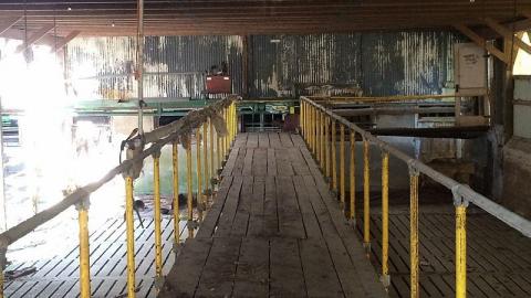 Big Farm - buimage.jpeg