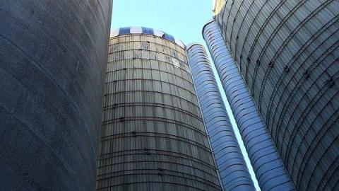 Big Farm - yfimage.jpeg